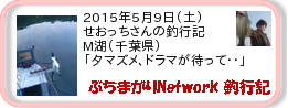 釣行記 ： 2015年5月9日(土)_M糊(千葉県) ［AB432］