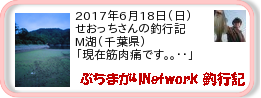 釣行記 ： 2017年6月18日(日)_M湖(千葉県) ［AB497］