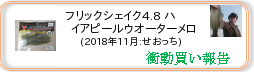 衝動買い報告 ： 2018年11月_フリックシェイク4.8 ハイアピールウオーターメロン(ソフトルアー) ［192］