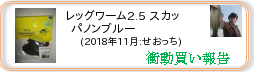 衝動買い報告 ： 2018年11月_レッグワーム2.5 スカッパノンブルー(ソフトルアー) ［194］