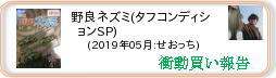 衝動買い報告 ： 2019年05月_野良ネズミ(タフコンディションSP)(ソフトルアー) ［218］