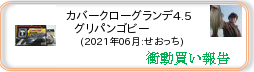 衝動買い報告 ： 2021年06月_カバークローグランデ4.5 グリパンゴビー(ソフトルアー) ［273］