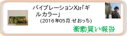 衝動買い報告 ： 2016年05月_バイブレーションＸJr｢ギルカラー｣(ハードルアー) ［82］