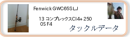 タックルデータ ： Fenwick ＧＷＣ６５ＳＬＪ ［00000000032］